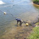 낙동강변15 이미지