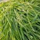 김정태 농장 이미지