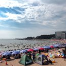 인천 해수욕장, 이달 22일부터 순차적 개장 이미지