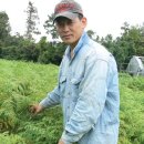공서농장 네이버블로그