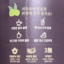 도리담