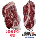 미경사2 이미지