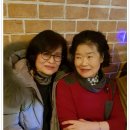 멍멍친구들