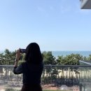 동인4가동경로당 | 태안 아일랜드 리솜 : 흐렸던 날도 좋았던 오션타워 S25 오션뷰 후기(조식 맛있음)