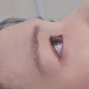 송촌 샵 네이버블로그
