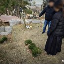양지요양병원장례식장 이미지