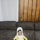 수유세탁 이미지