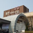 계룡산 한우 농장 | 휴게소투어 정안알밤휴게소&amp;정읍녹두장군휴게소
