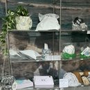 디자인씨씨주