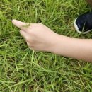 문경또또캠핑장 이미지