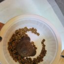 맛있개 냠냠 이미지