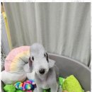 이아이앤테리어