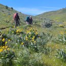 Apr 25, 2026 Sage Hills Loop Trail 이미지