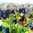 행복농장 5 이미지