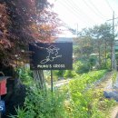 멍스 크로스 | 애견카페 멍스크로스