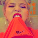 솔라