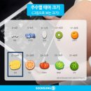 플로체여성의원 | 임신21주~24주(임산부 계단에서 넘어진 썰..)