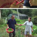 박영철농장 이미지