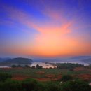 창녕 우포늪 이미지