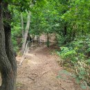 루이힐스 C.C 이미지