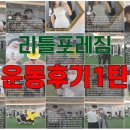 리틀포레짐 이미지