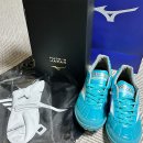 230025 | 풋살화 추천 미즈노코리아 대구 동성로 매장