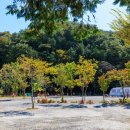 마실야영장 이미지