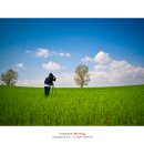 느티나무목장 이미지