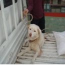 봉소회관 이미지