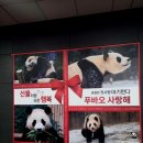 타이데이 이미지