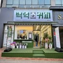 백억커피부산 이미지