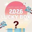 내돈내산!!🎁 테디테일즈 2026년 럭키박스 개봉기, 솔직 후기 ✨