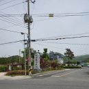 양명식당 이미지