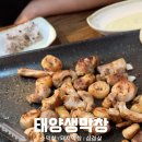 태양생막창 - 수원시 영통구 | 태양생막창