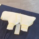 (단기)반려동물 펫시터(자격증) 이미지