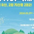 용산천 | 갑진년 함안 칠원고을 줄다리기ㅡ박서진