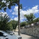 필 리조트 펜션 | 울산근교/부산근교 밀양 은하수리조트 수영장+계곡+평상 솔직후기