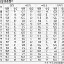 여전히제주 이미지