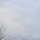 자작나무숲 스테이 | 겨울에 다녀온 인제 소월숲스테이 선유재 상세 후기