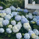 남상보건지소 이미지