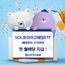 신한코리아 이미지