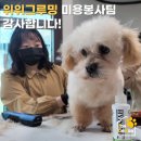 위위그루밍 이미지