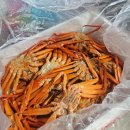 바보농축수산물