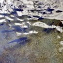 송어의집 이미지