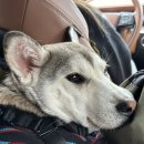 그자리 야영장 이미지