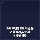 소나무펜션 | 소나무펜션으로 떠난 봄 여행 후기, 자연과 함께한 시간