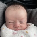 표선의원 | 제주도 영유아검진 시기 서귀포 표선연세의원 방문후기 *영유아검진표첨부