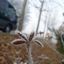 서산IC에서~남당리 새조개축제꺼정~ 이미지