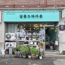 살롱드마카롱 | 강릉마카롱맛집 살롱드마카롱&플라워 꽃다발 전문점