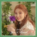 다이아컴퍼니 이미지
